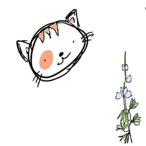 Meet your Posher, Maggie